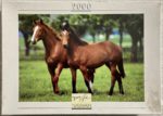 Image of the puzzle 2000, Nathan, Horses in the Meadow, Robert Maier, Sealed Bag, Pictue of the box