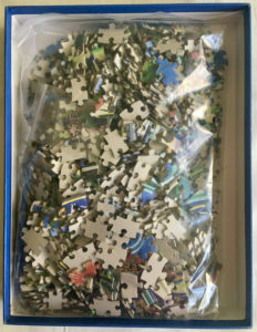 Image of the puzzle 1000, Pomegranate, Flowers, Italy, Joseph Stella, Complete, Picture of the bag