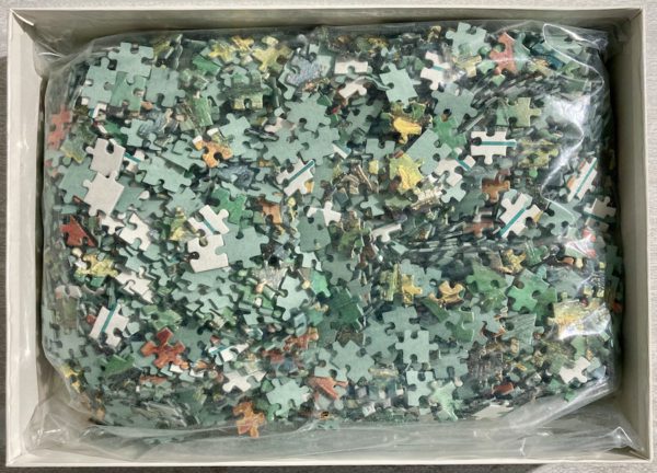 Image of the puzzle 2000, Diset, Irises, Vincent van Gogh, Sealed Bag, Picture of the bag
