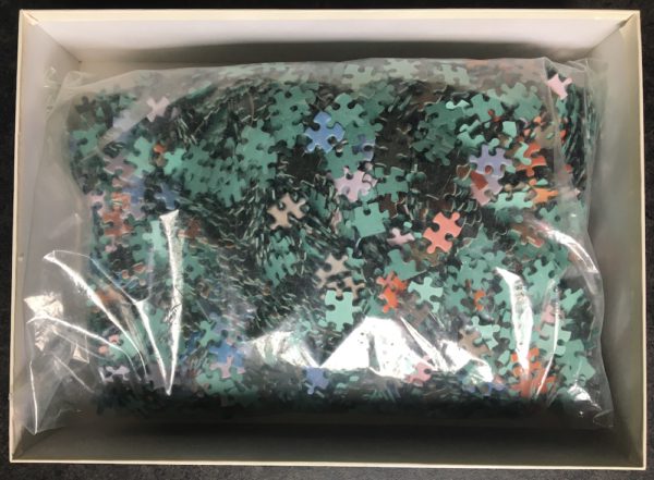 Image of the puzzle 4000, MB, Reflections, David Muench, Sealed Bag, Picture of the bag