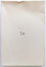 Image of the puzzle 500, WHSmith, Tuti Fruity, by Wendy Carlton, Sealed Bag, Picture of the back