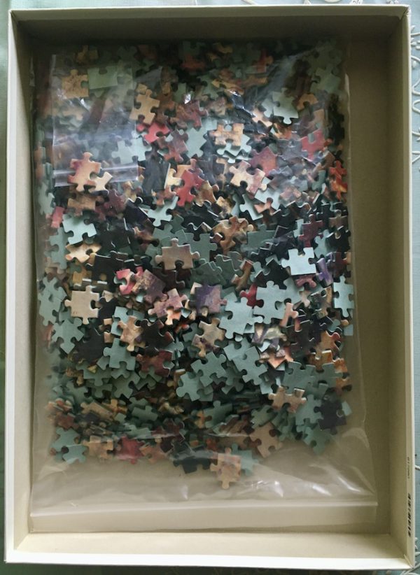 Image of the puzzle 1000, Ravensburger, On the Terrace, by Pierre-Auguste Renoir, Complete, Picture of the bag