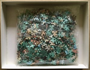 Image of the puzzle 1000, MB, The Shell Fishermen, Complete, Picture of the bag