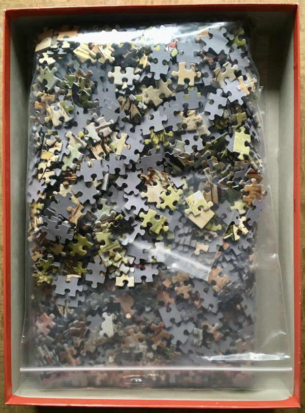 Image of the puzzle 2x1000, Jumbo, What does the Kitten do? & In the Meadow, by Cornelis Jetses, Complete, Picture of the bag