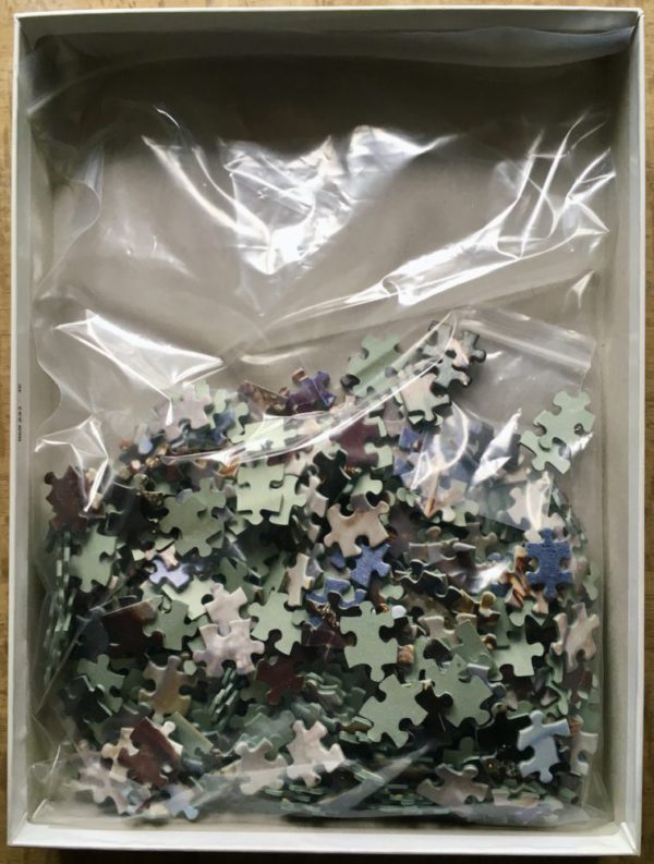 Image of the puzzle 500, Nathan, Masquerade, by Chris Nikolson, Complete, Picture of the bag