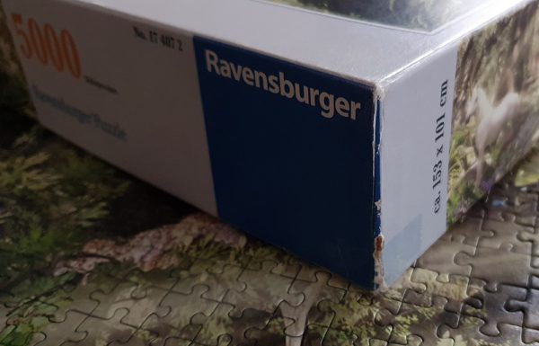 Image of the puzzle 5000, Ravensburger, Fantasy World, by David Penfound, Complete, Picture of the corner