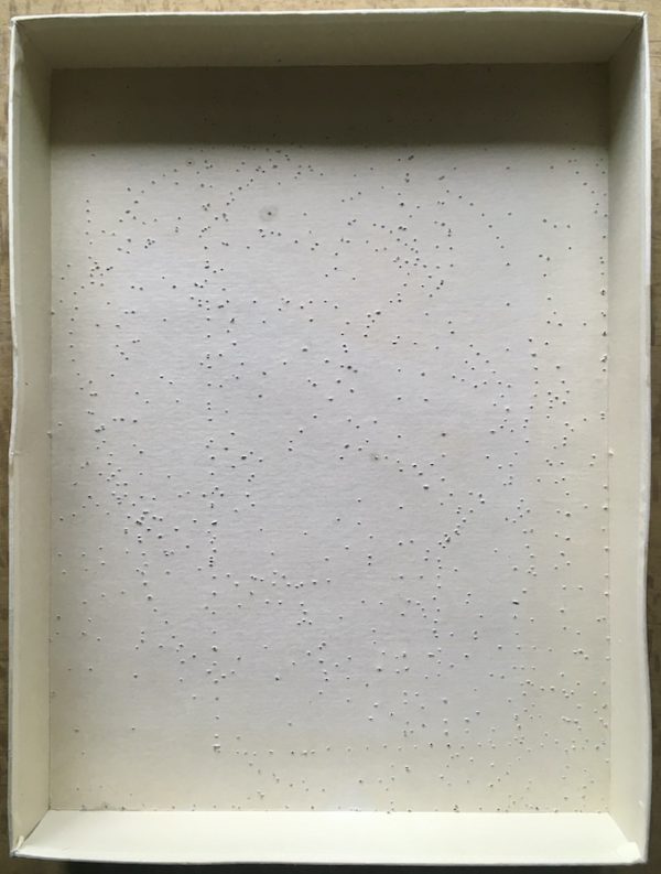 Image of the puzzle 1500, International Team, Humphrey Bogart, Ermes Miceli, Complete, Picture of the base