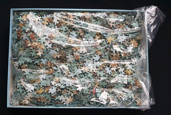 Image of the puzzle 5000, Jumbo, A Busy Day Near the Rialto Bridge, Antonio Pascutti, Sealed Bag, Picture of the bag