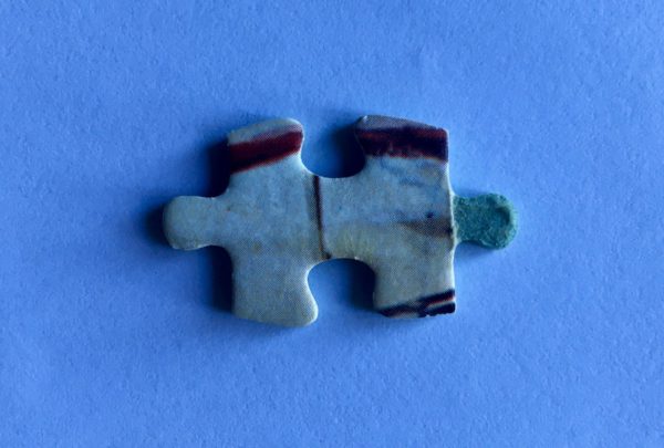 Image of the puzzle 750, Nathan, Race Course Scene, by Alfred Choubrac, Complete, Picture of the piece