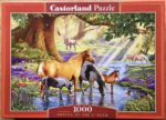 Image of the puzzle 1000, Castorland, Horses by the Stream, by Steve Crisp, Complete, Picture of the box