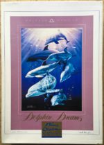Image of the puzzle 1000, Nathan, Dolphin Dreams, by Christian Riese Lassen, Sealed Bag, Picture of the box