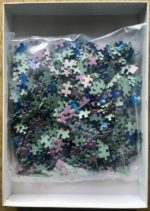 Image of the puzzle 1000, Nathan, Dolphin Dreams, by Christian Riese Lassen, Sealed Bag, Picture of the bag