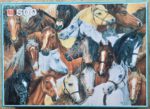 Image of the puzzle 500, Jumbo, Dees Horse Blanket, by Ditz, Complete, Picture of the box