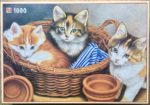 Image of the puzzle 1000, Jumbo, Francien Cats, by Francien van Westering, Complete, Picture of the box