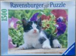 Image of the puzzle 1500, Ravensburger, The Curious Kitten, Sealed Bag, Picture of the box