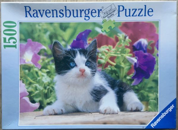 Image of the puzzle 1500, Ravensburger, The Curious Kitten, Sealed Bag, Picture of the box