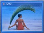 Image of the puzzle 1000, MB, In the Shade, Sealed Bag, Picture of the box