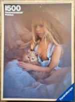 Image of the puzzle 1500, Ravensburger, Two Friends, Chris Nikolson, Complete, Picture of the box