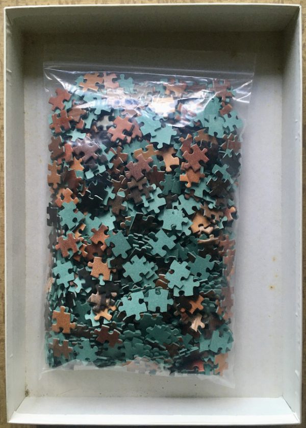 Image of the puzzle 1000, Nathan, Sunset Ballet, by Chris Nikolson, Complete, Picture of the bag