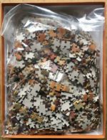 Image of the puzzle 1000, Pomegranate, Autumns Garland, by Tom Thomson, Complete, Picture of the bag