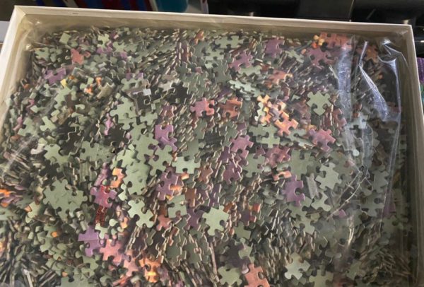 Image of the puzzle 5000, Ravensburger, San Francisco, Skyline, Sealed Bag, Picture of the bag