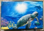 Image of the puzzle 5000, Ravensburger, Underwater Tranquility, by Walter Pepperle, Complete, Picture of the contents