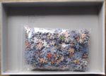 Image of the puzzle 1000, Grovely, Wild Ducks, by Maurice Pledger, Complete, Picture of the bag