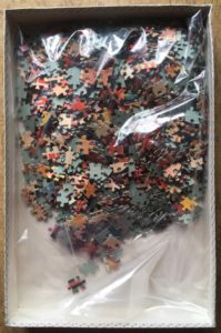 Image of the puzzle 1000, International Team, Libery Puzzle, Grande Arena Milano, Complete, Picture of the bag