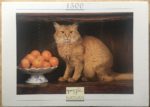 Image of the puzzle 1500, Nathan, A Cat with Oranges, by Gérard Lacz, Factory Sealed, Picture of the box