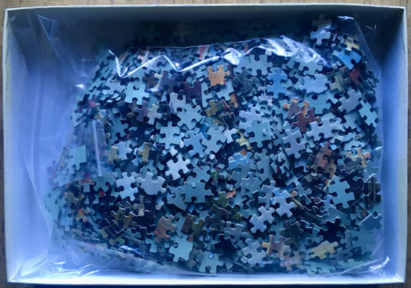 Image of the puzzle 1500, Jumbo, A Street Scene in Amsterdam, by Willem Koekkoek, Complete, Picture of the bag