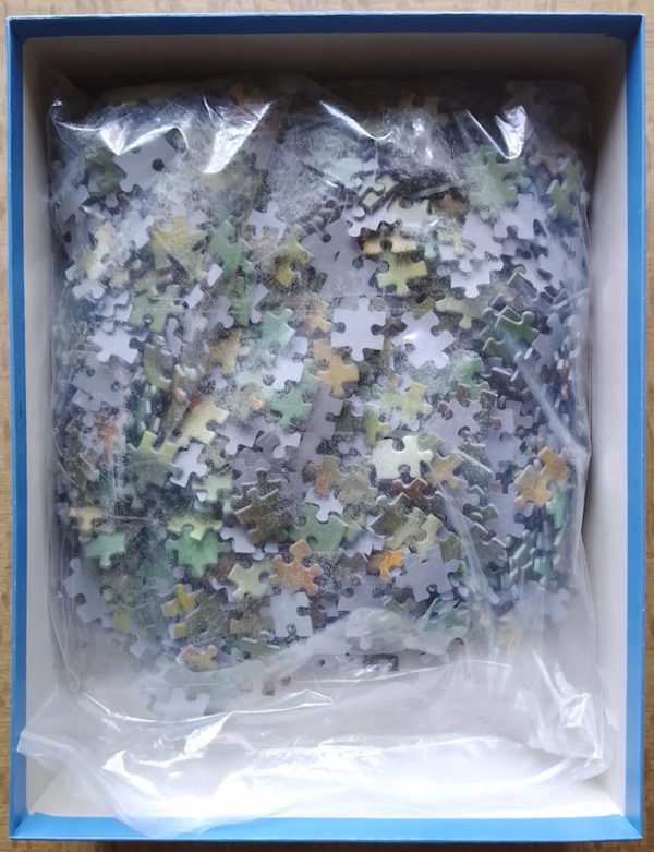 Image of the puzzle 1000, Impronte Edizioni, La Ballerina, by Edgar Degas, Complete, Picture of the bag