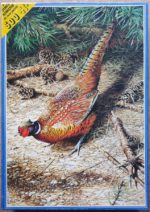 Image of the puzzle 500, JH, Cock Pheasant, by Terance James Bond, Complete, Picture of the box