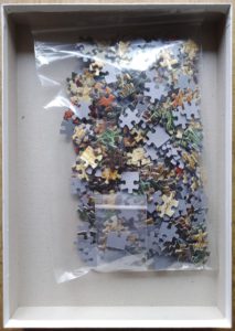 Image of the puzzle 500, JH, Cock Pheasant, by Terance James Bond, Complete, Picture of the bag
