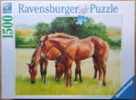 Image of the puzzle 1500, Ravensburger, Grassy Horses, by Jacqueline Stanhope, Sealed Bag, Picture of the box
