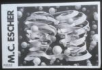Image of the puzzle 1000, Selegiochi, Bond of Union, by Maurits Cornelis Escher, Factory Sealed, Picture of the box