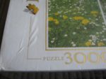Image of the puzzle 3000, Clementoni, 4 Seasons, Factory Sealed, Detail of the box