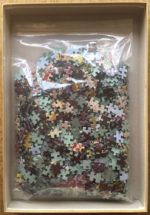 Image of the puzzle 1000, Jumbo, Vichy, Julien Lacaze, Complete, Picture of the bag