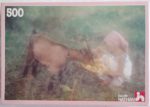 Image of the puzzle 500, Nathan, The Little Girl with the Little Goat, by Jean-Pierre Horlin, Factory Sealed, Picture of the box