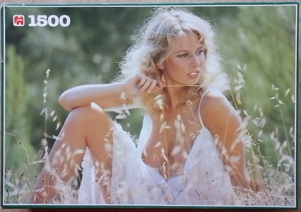 Image of the puzzle 1500, Jumbo, Brigitte, Incomplete, Picture of the box