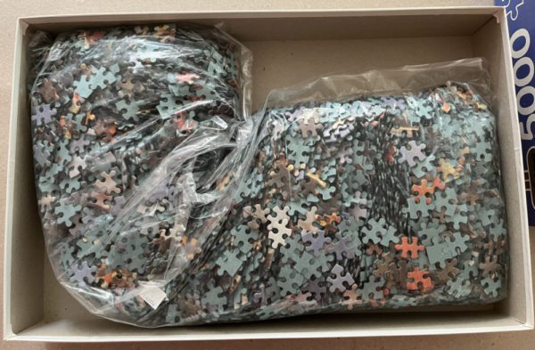 Image of the puzzle 5000, Falcon, The Attack and taking of Ratisbon, by Charles Thévenin, Sealed Bag, Picture of the bag