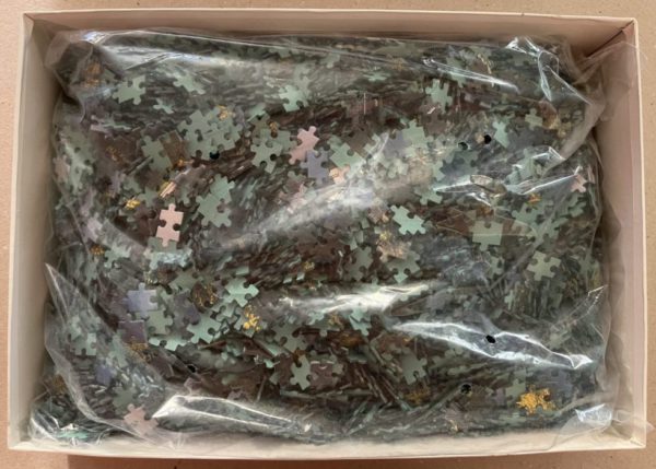 Image of the puzzle 5000, Educa, Neuschwanstein Castle, Germany, Sealed Bag, Picture of the bag