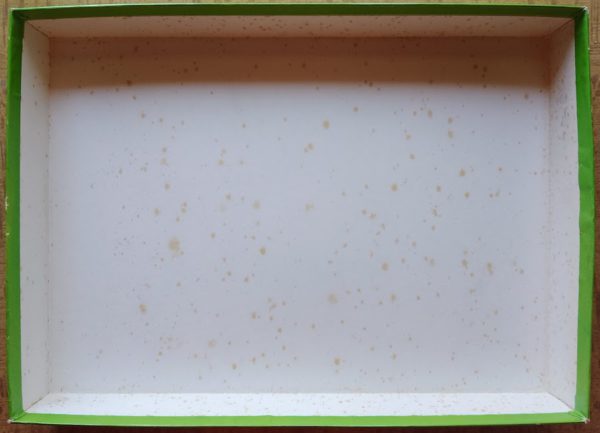 Image of the puzzle 1000, Nathan, Fougères (Ille-et-Vilaine), Sealed Bag, Picture of the inside