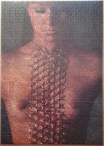 Image of the puzzle 2000, Ferriot Cric, Behind a Veil, by Georges Tourdjman, Complete, Picture of the puzzle