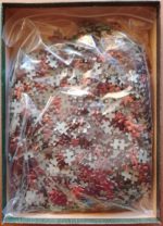 Image of the puzzle 2000, Ferriot Cric, Behind a Veil, by Georges Tourdjman, Complete, Picture of the bag