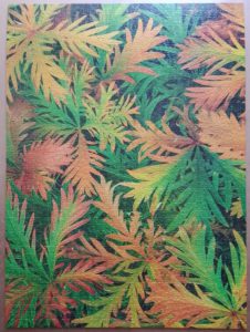 Image of the puzzle 1500, MB, Burst of Autumn, Complete, Picture of the puzzle