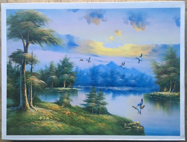 Image of the puzzle 1000, Rivon, Flying over the Lake, Sealed Bag, Picture of the box