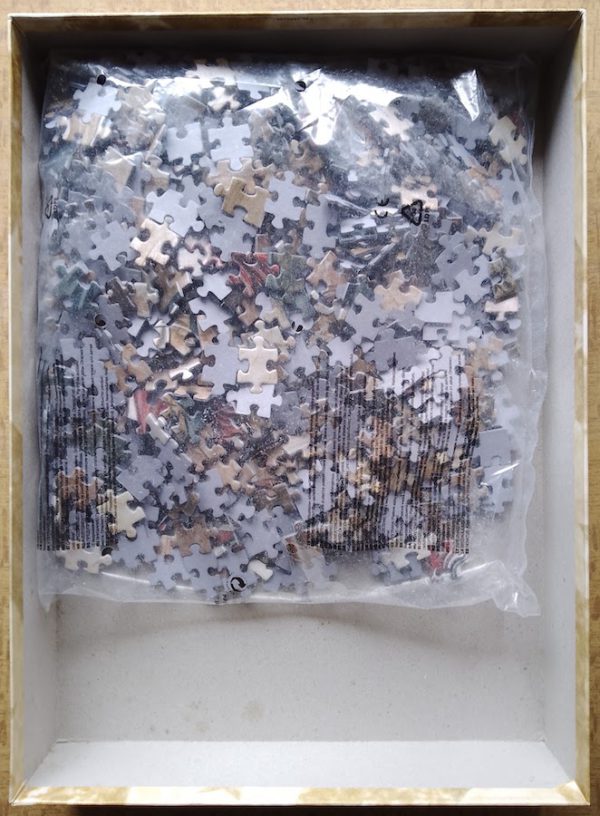Image of the puzzle 1000, Heye, Tent, by Victoria Francés, Sealed Bag, Picture of the bag