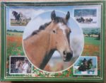 Image of the puzzle 1500, MB, Collage, Horses, Factory Sealed, Picture of the box