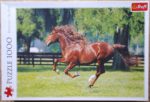 Image of the puzzle 1000, Trefl, In the Gallop, by Bob Langrish, Incomplete, Picture of the box