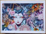 Image of the puzzle 1500, Unknown, Rainbow Geisha, by Android Jones, Complete, Picture of the box